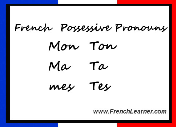french-possessive-pronouns
