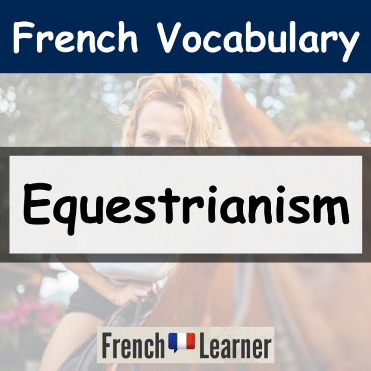Equestrian (Horseback Riding) Vocabulary