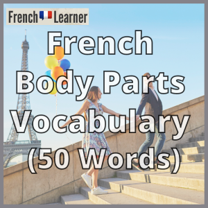 French Body Parts Vocabulary 300x300 