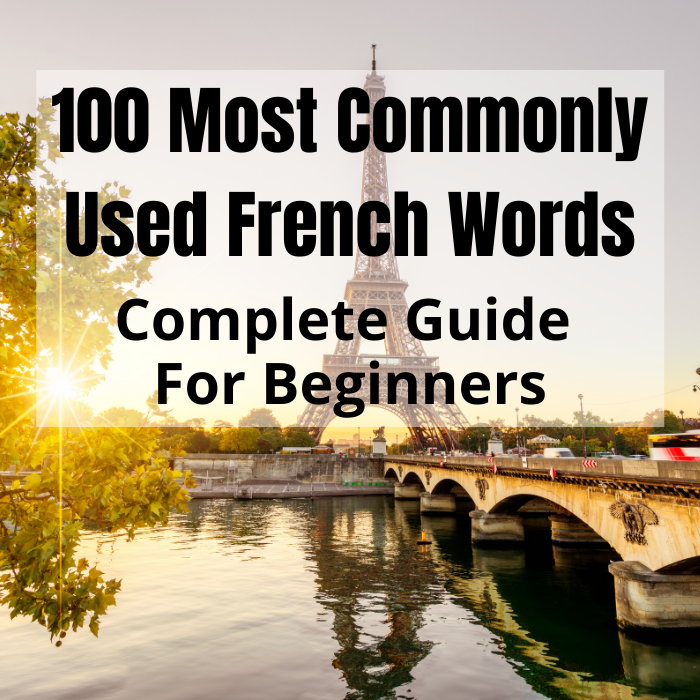 Guide To The Top 100 Most Common French Words