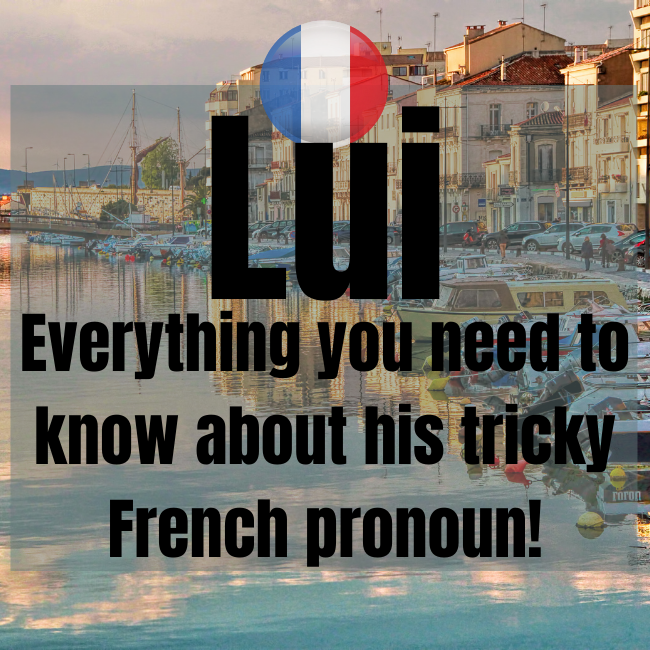 Lui Meaning French Pronoun FrenchLearner