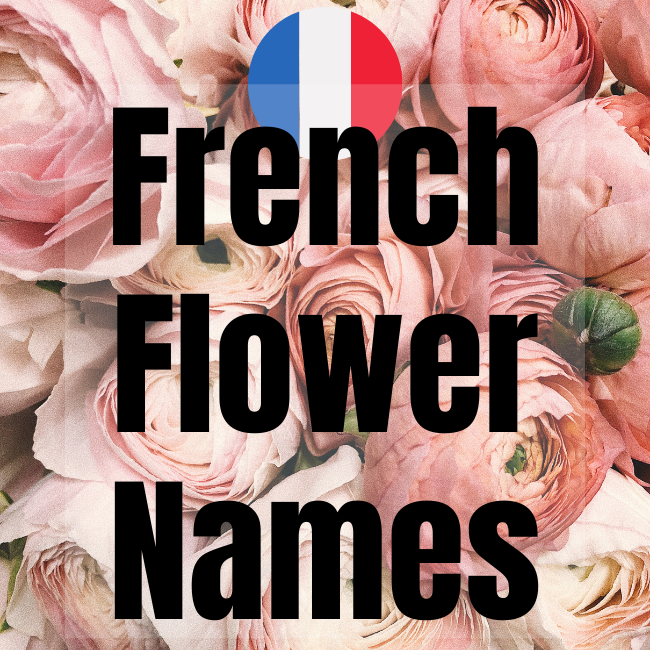 french flowers names