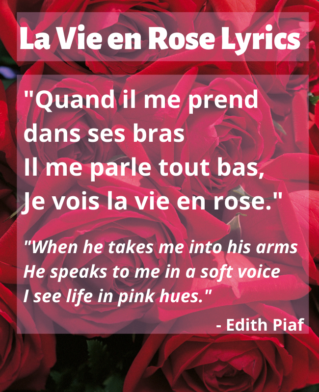 La Vie en Rose - You'll NEVER have too many bras Especially