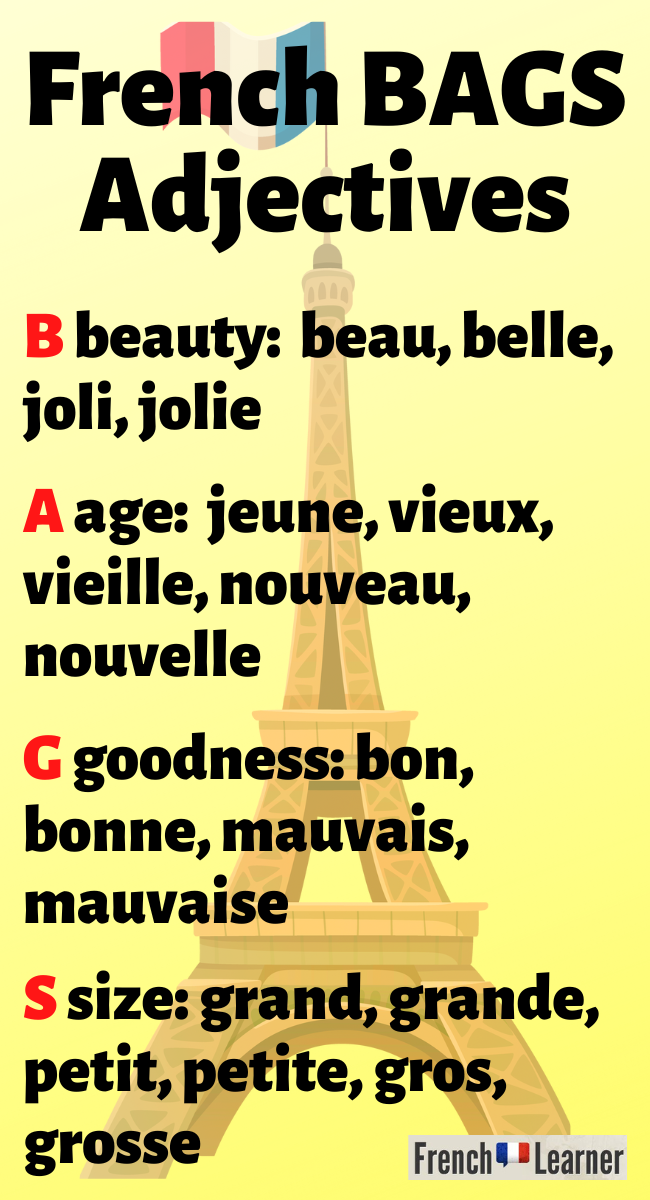 French bags adjectives FrenchLearner