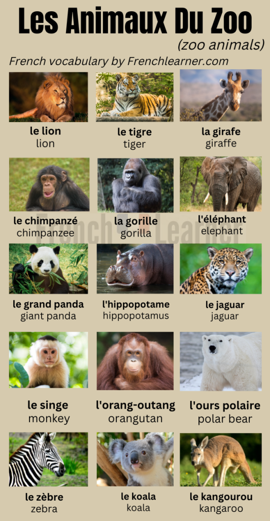 List of 100+ Wild Animals Name, Animals Vocabulary in 2023