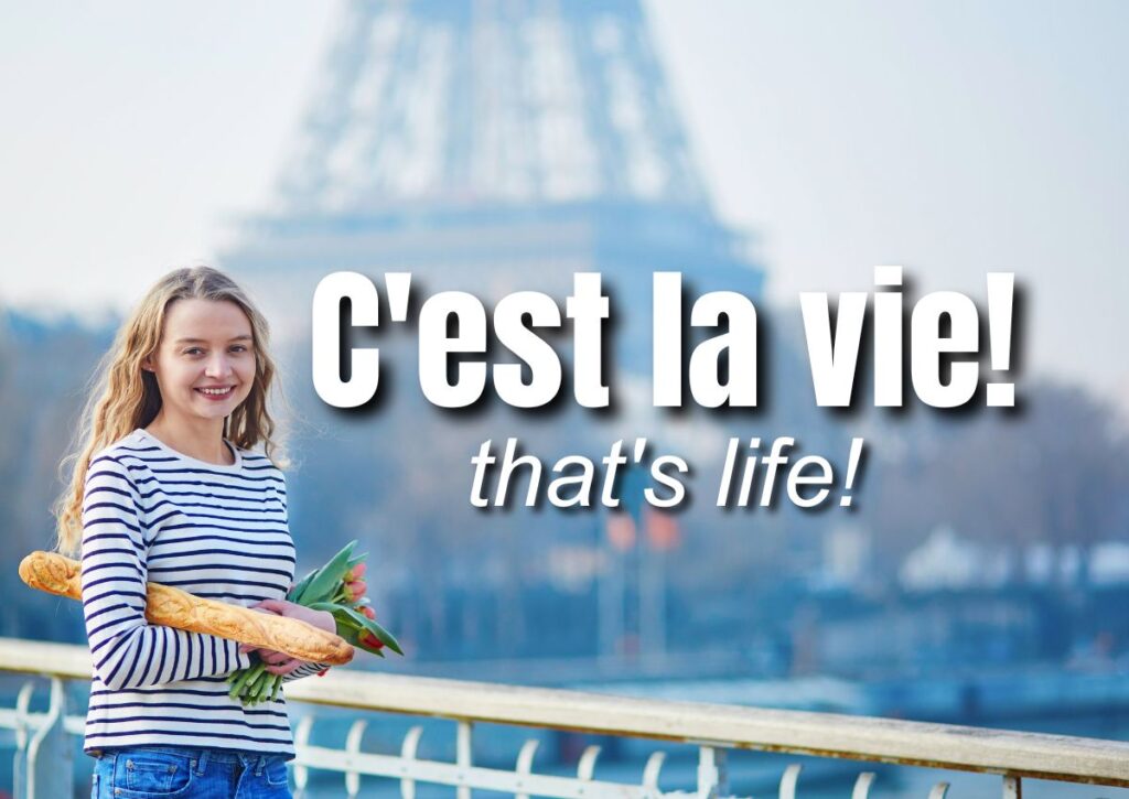 c-est-la-vie-ultimate-guide-to-the-famous-french-expression