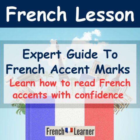 French Accent Marks 480x480 