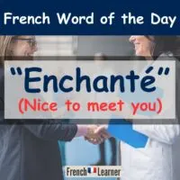 enchanté = nice to meet you