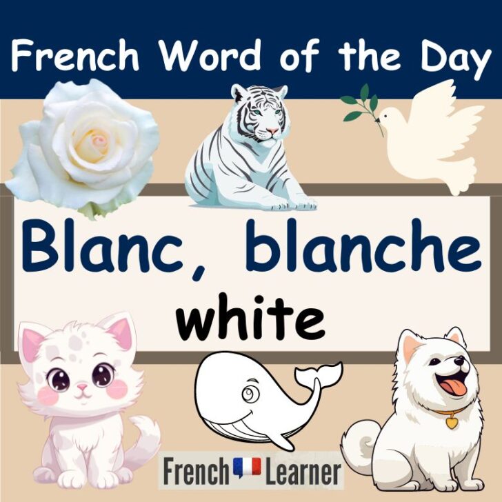 Blanc, Blanche – white