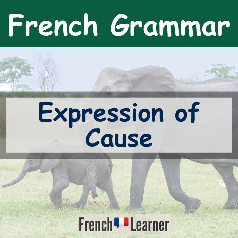 French expression of cause