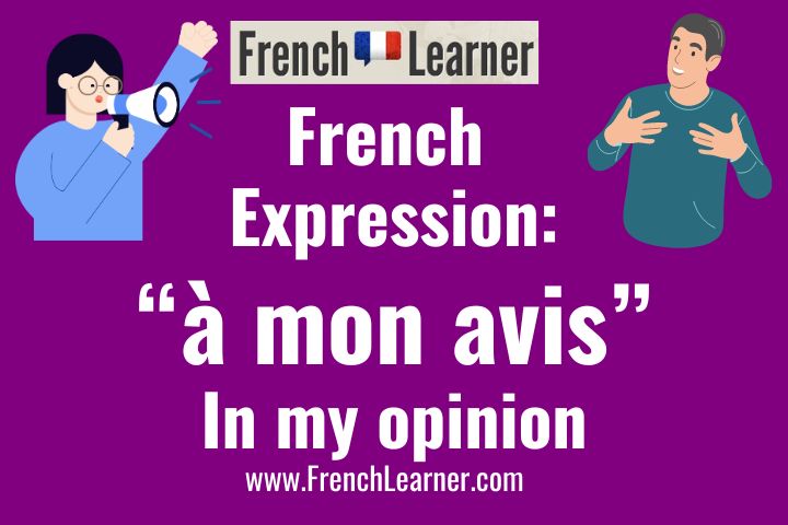 À mon avis is French expression meaning "In my opinion".