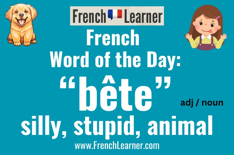 As an adjective, bête mean "stupid or "silly" in French. As a noun it can mean "animal".