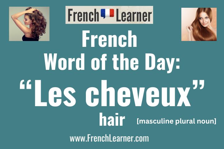 Les cheveux is a masculine plural noun meaning "hair".