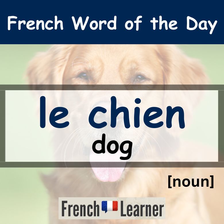FrenchLearner Word of the Day Lessons: Chien: noun - Dog.