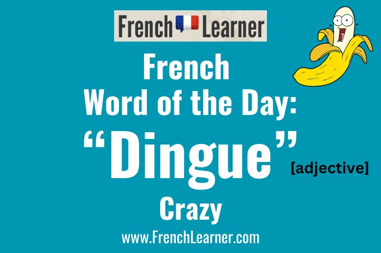 The adjective dingue translates to "crazy" in French.