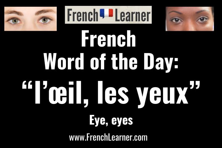 L’œil and les yeux: eyes in French.