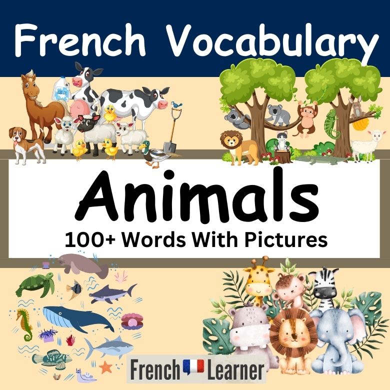 French Animal Vocabulary