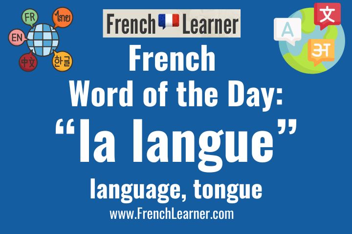 Langue is a French feminine noun meaning both language and tongue.