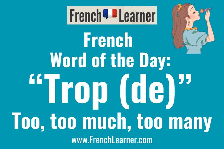 The French advert trop means "too". Trop de + noun means "too much" or "too many".