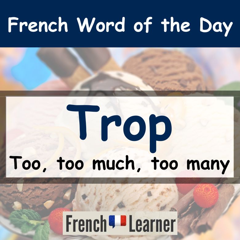 FrenchLearner Word of the Day lesson explaining how to use the adverb trop, meaning too, too much and too many.
