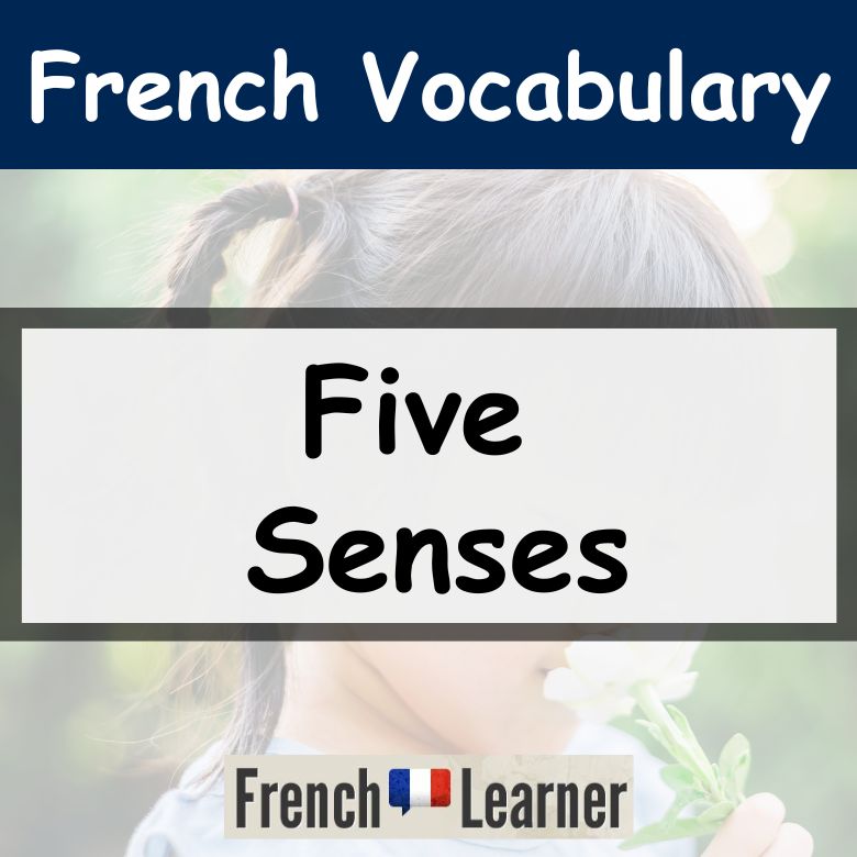 French five sesnes vocabulary