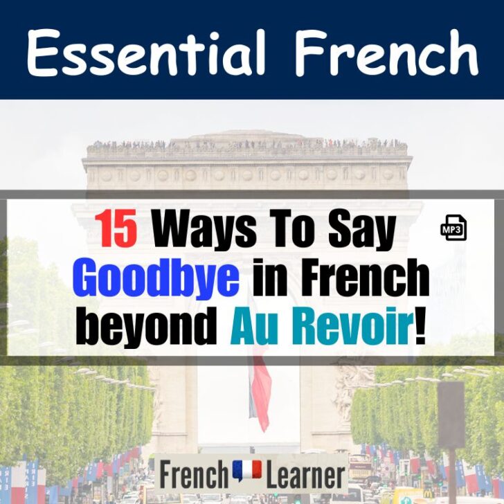 15 Ways To Say Goodbye In French Beyond Au Revoir