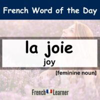 La joie - French feminine noun: Joy.