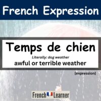 Temps de chien