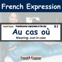 Au cas où - French expression meaning 