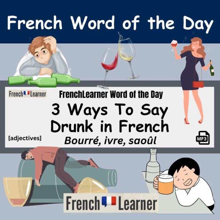 Bourré – 3 Ways To Say Drunk in French