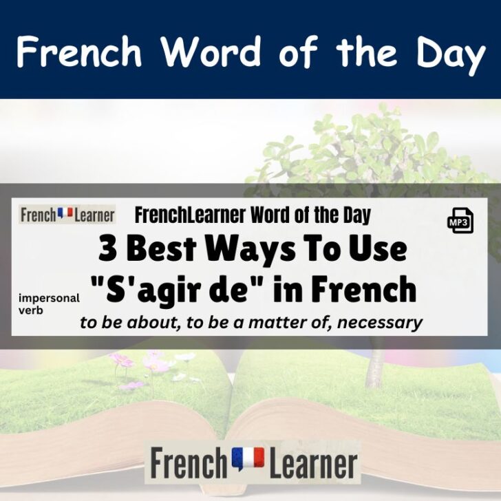 3 Best Ways To Use “S’agir de” in French