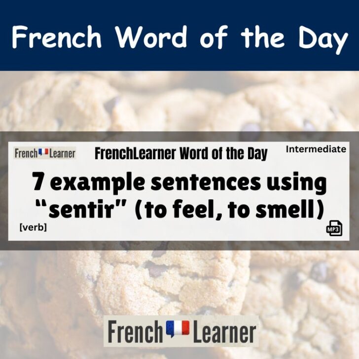 7 Example Sentences With Sentir (To feel, to smell)