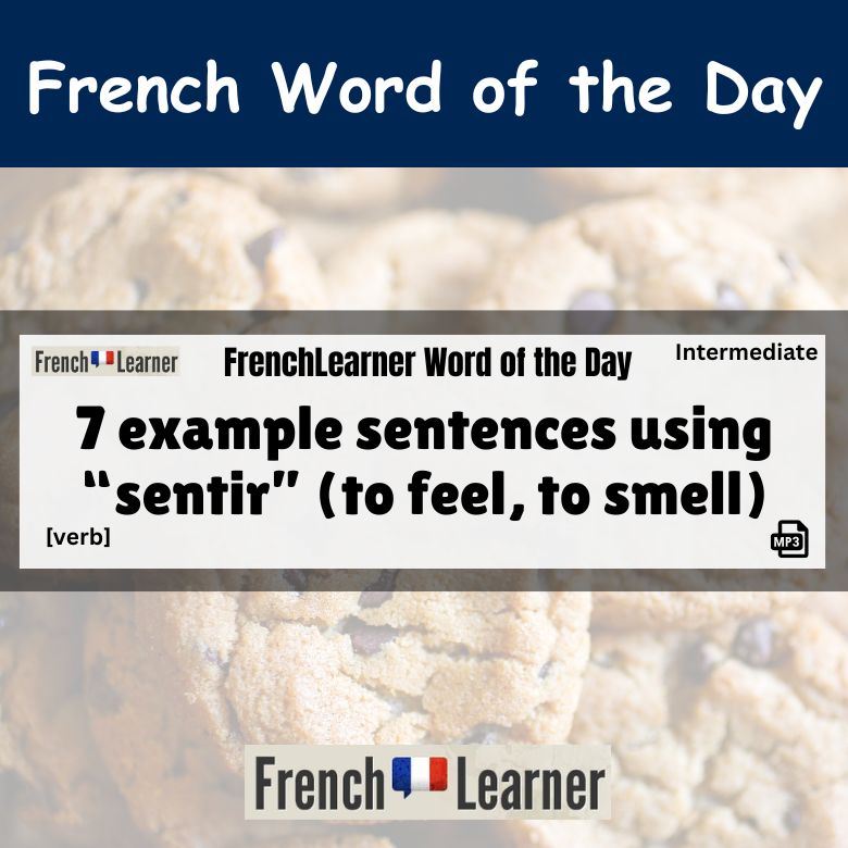 7 example sentences using “sentir” (to feel, to smell)