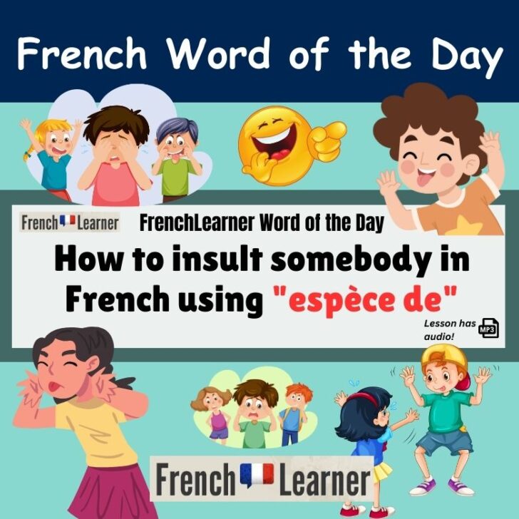 How to insult somebody in French using “espèce de”