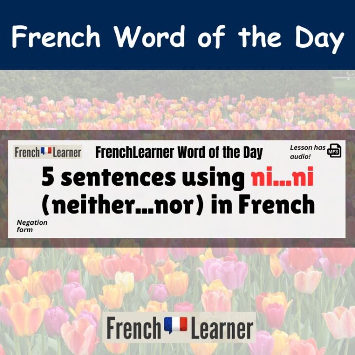 5 sentences using ni…ni (neither…nor) in French